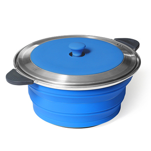 Popup Stainless Steel Cooking Pot 3.0L